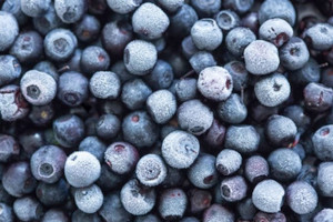 Frozen Organic Blueberries - Bulk - 5lb. Frozen Organic Blueberries - Bulk - 5lb.
