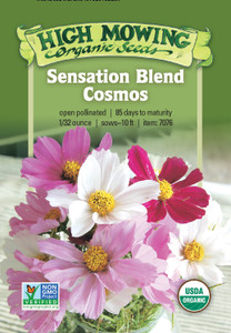 Sensation Blend Cosmos - ~135 seeds Sensation Blend Cosmos - ~135 seeds
