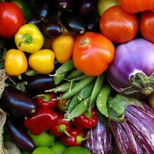 2025 Fall CSA - Prepayment Reservation 2025 Fall CSA - Prepayment Reservation