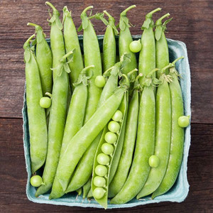 Green Arrow Shelling Peas- 1oz