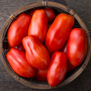 San Marzano Paste Tomato Seeds - 1/10 GRAM San Marzano Paste Tomato Seeds - 1/10 GRAM