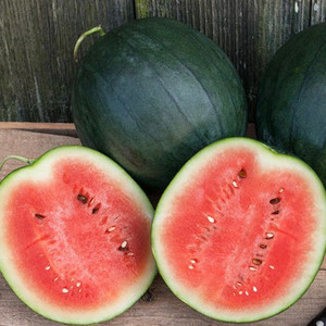 Sugar Baby Watermelon Seeds - 1/16 OZ