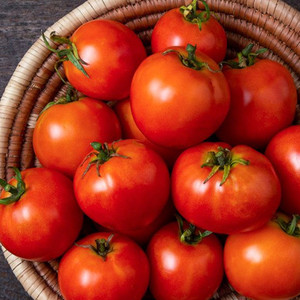 Mountain Princess Tomato Seeds - 1/10 GRAM Mountain Princess Tomato Seeds - 1/10 GRAM