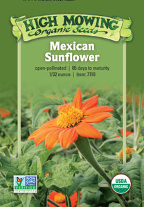 Mexican Sunflower Seeds - 1/32 OZ Mexican Sunflower Seeds - 1/32 OZ