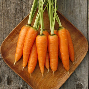 Danvers 126 Carrot Seeds - 1/32 OZ Danvers 126 Carrot Seeds - 1/32 OZ