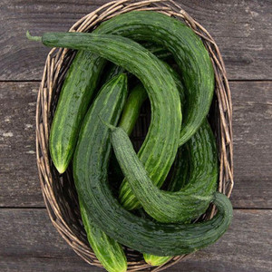 Suyo Long Cucumber Seeds - 1/16 OZ Suyo Long Cucumber Seeds - 1/16 OZ
