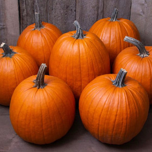 Howden Pumpkin Seeds - 1/8 OZ