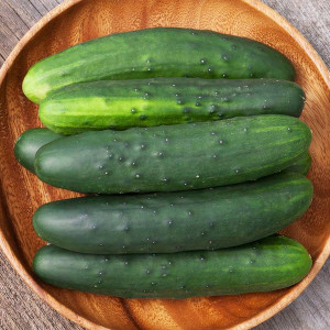 Marketmore Cucumber Seeds - 1/16 Oz Marketmore Cucumber Seeds - 1/16 Oz