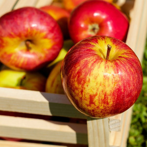 Organic Apples Organic Apples