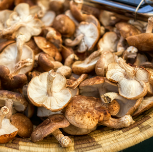 Mushrooms - Shiitake - avg 0.5lb Mushrooms - Shiitake - avg 0.5lb