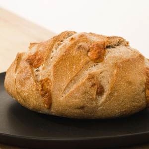 Cheddar Garlic Sourdough from Backwards Bread Company