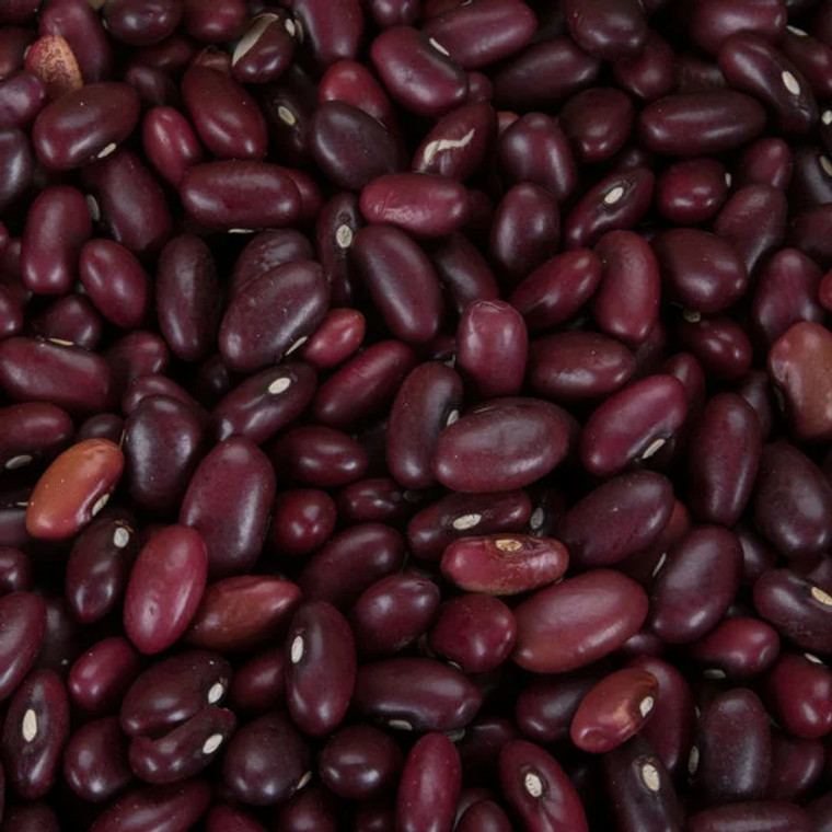 Bulk Dried Red Beans - 25lbs