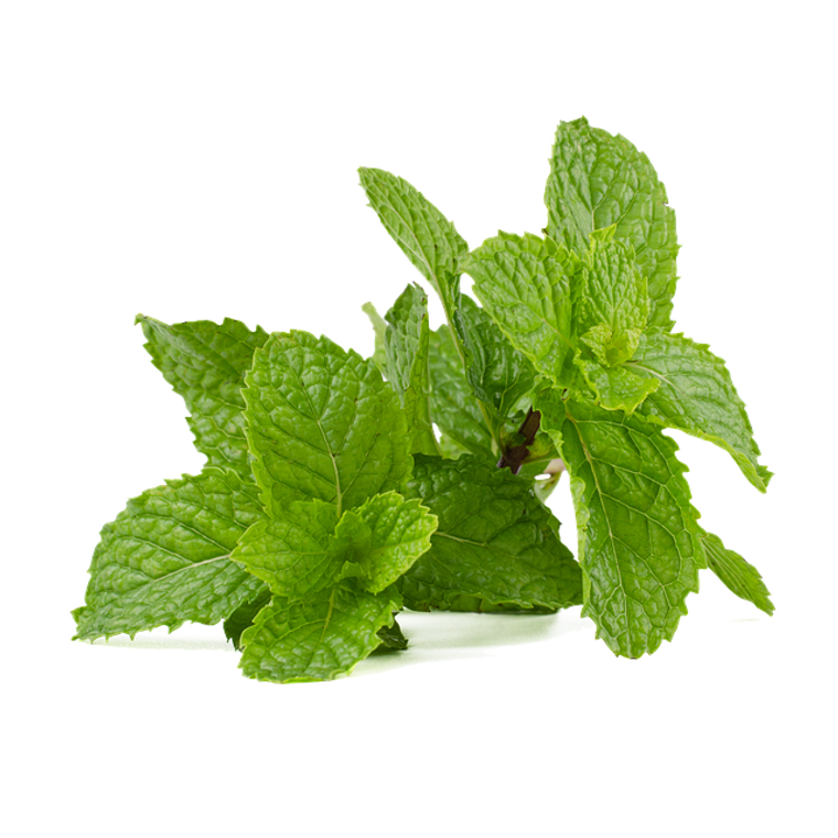 Mint