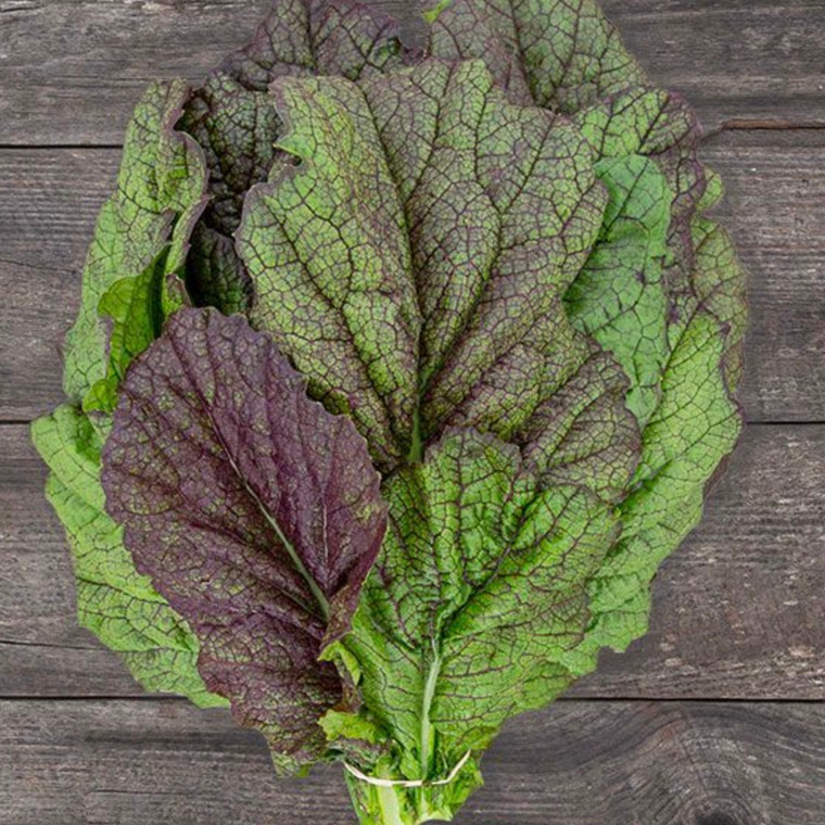 Red Giant Mustard Greens Seeds - 1/32 OZ