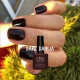 Shellac Dark Dahlia