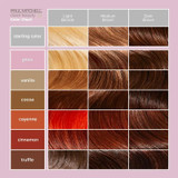Paul Mitchell Clean Beauty Color Depositing Treatment Guide