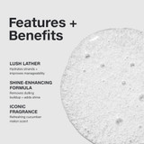 Paul Mitchell Awapuhi Shampoo (Original) 300ml SWATCH 2