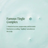 Paul Mitchell Tea Tree Special Shampoo 500ml