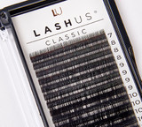 LASHUS C Curl 0.20 Mix Tray 7-13mm