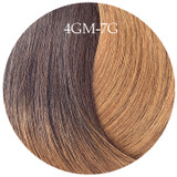 Showpony Human 14" Skin Weft Tape - Warm Mocha Melt Ombre 10Pc - (4GM-7G)