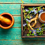 INGREDIENT SPOTLIGHT: CHICORY ROOT EXTRACT