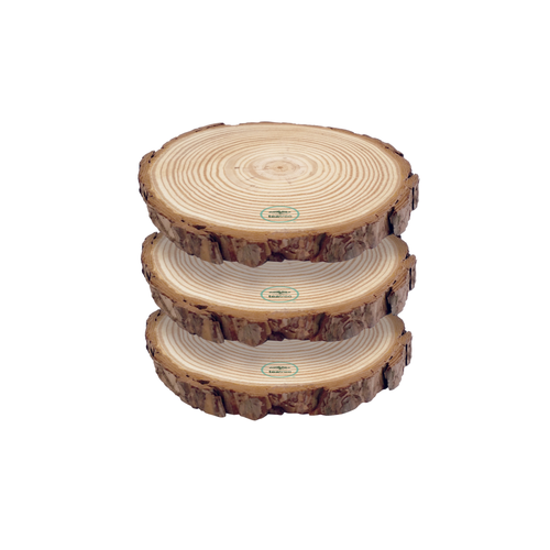 PM Tea Tree Wooden Log Display - Small (set of 3)