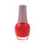 SPARITUAL Nourishing Vegan Color - Wild Natured 15ml 1