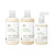 Paul Mitchell Tea Tree Scalp Care Regeniplex Regimen Kit
