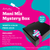 Artistic Mani Mix Mystery Box