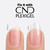 CND PLEXIGEL before and after