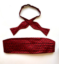 Robert Talbott Red Bow Tie and Cummerbund Set