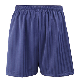 Shadow Stripe PE Shorts - Navy 18-28"