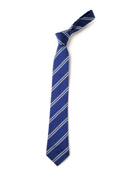 Northwood Primary Tie