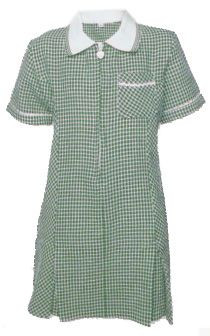 green gingham dress girls Mint Green Gingham Coco Dress – Classic Whimsy main image 0