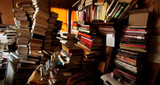 ​A Bibliophile's Defense of KonMari