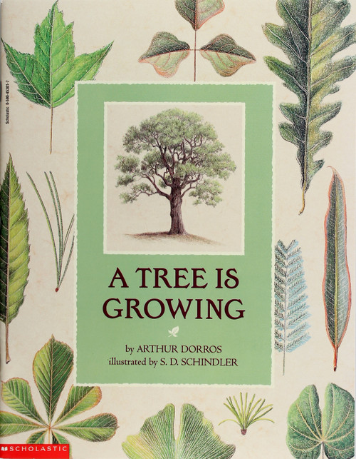 A Tree Is Growing front cover by Arthur Dorros, ISBN: 0590453017