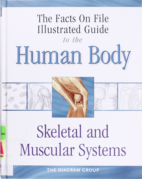 The Illustrated Guide to the Human Body: Skeletal and Muscular System front cover by Diagram Group, ISBN: 0816059810