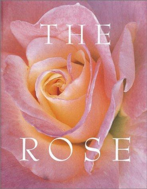 The Rose front cover by Camille Kline, ISBN: 1567995799