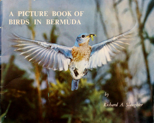 A Picture Book of Birds in Bermuda front cover by Richard A. Slaughter