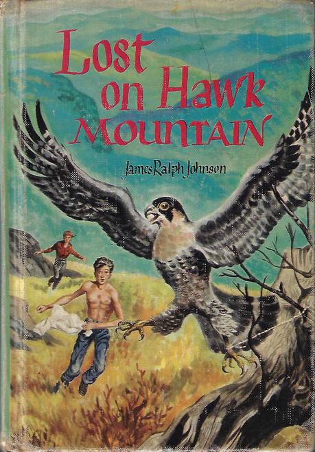Lost on Hawn Mountain front cover by James Ralph Johnson
