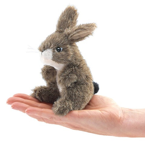 Bunny - Jack Rabbit Finger Puppet front cover