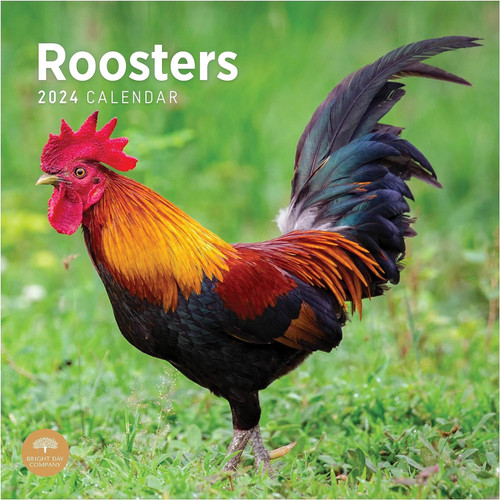 Roosters 2024 Wall Calendar front cover