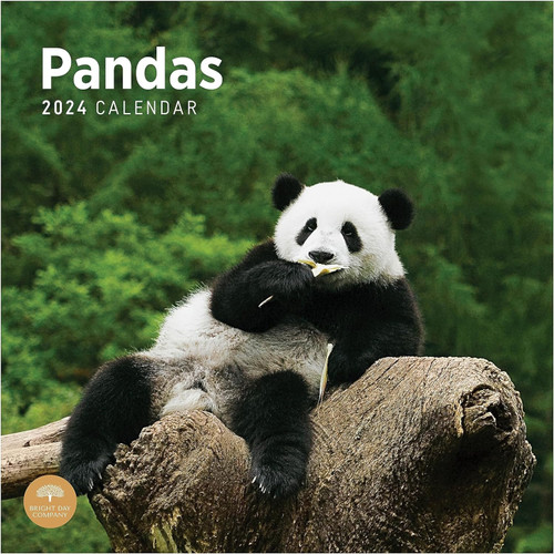 Pandas 2024 Wall Calendar front cover