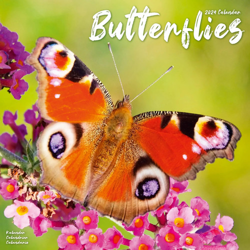 Butterfly 2024 Wall Calendar front cover, ISBN: 1804601292