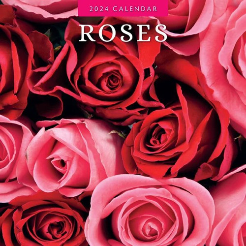 Roses 2024 Wall Calendar front cover, ISBN: 1804422010