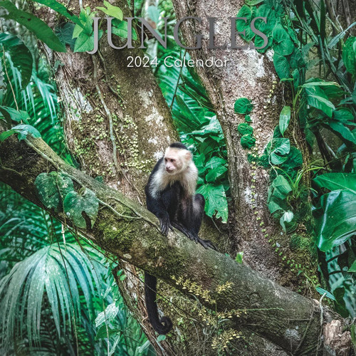 Jungles 2024 Wall Calendar front cover, ISBN: 1837883556