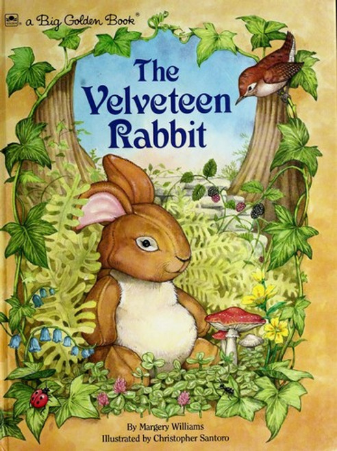 The Velveteen Rabbit front cover by Margery Williams, Christopher Santoro, ISBN: 0307121054