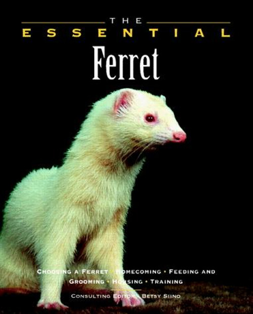 Essential Ferret front cover by Betsy Sikora Siino, Eric Ilasenko, ISBN: 1582450781