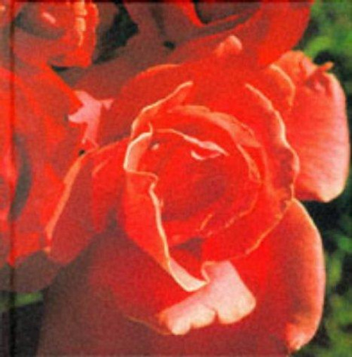 Red (Colour Garden) front cover by Elvin McDonald, ISBN: 0316882364