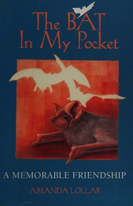 The Bat in My Pocket: A Memorable Friendship front cover by Amanda Lollar, ISBN: 0884964094